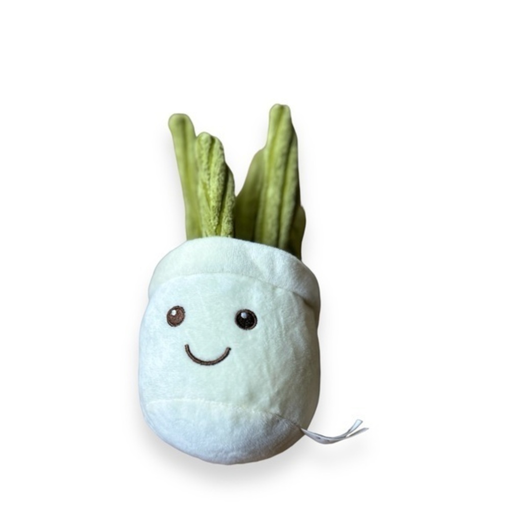 CRINKLY CATCUS PLANT DOG TOY